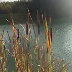 Torraccia Di Chiusi Relais