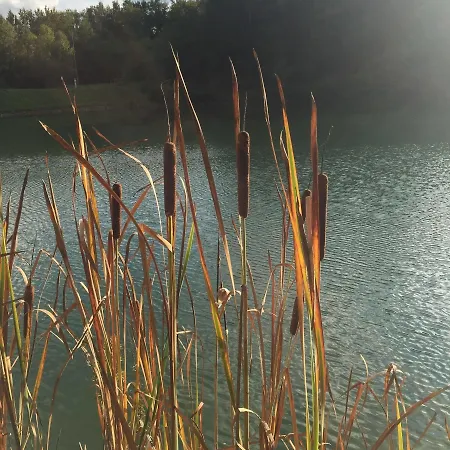 Torraccia Di Chiusi Hotel