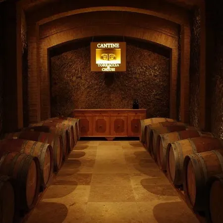 Hotel Torraccia Di Chiusi San Gimignano